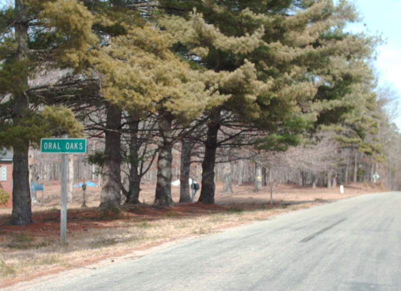 VA 403 view